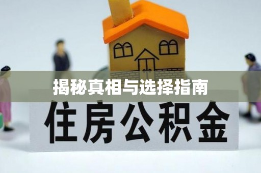 东石揭秘真相与选择指南