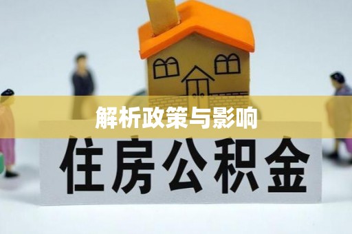 东石解析政策与影响