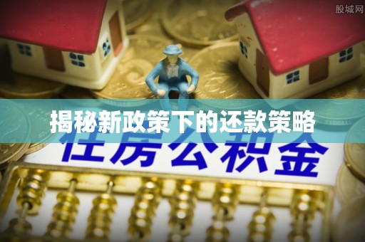 东石揭秘新政策下的还款策略