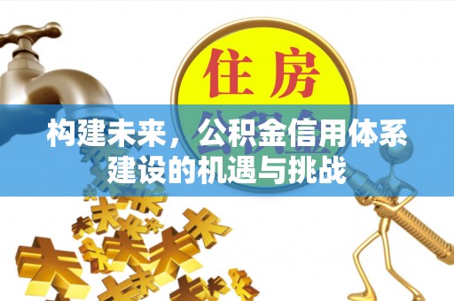 东石构建未来，公积金信用体系建设的机遇与挑战