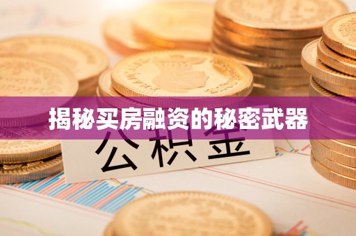 东石揭秘买房融资的秘密武器