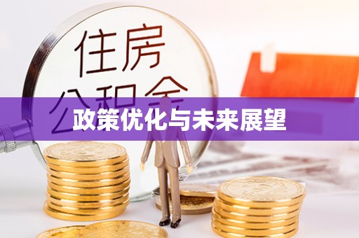 东石政策优化与未来展望