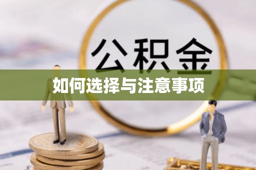 东石如何选择与注意事项