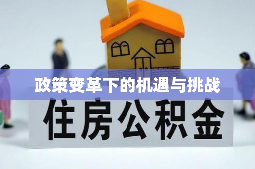 东石政策变革下的机遇与挑战