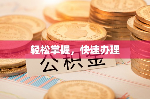 东石轻松掌握，快速办理