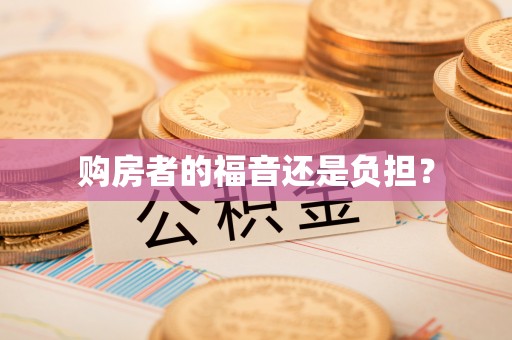 东石购房者的福音还是负担？
