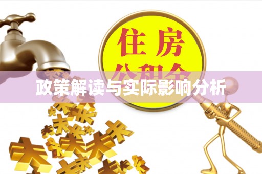 东石政策解读与实际影响分析