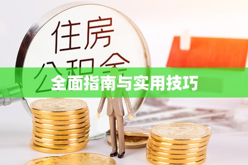 东石全面指南与实用技巧