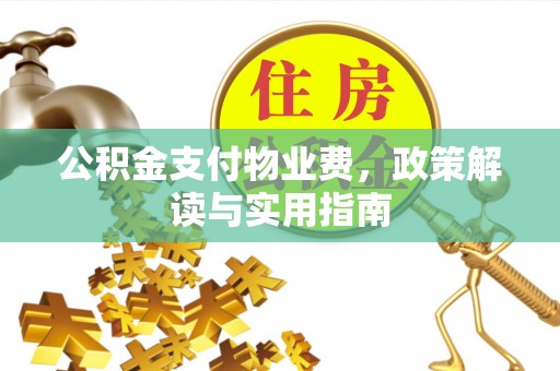 东石公积金支付物业费，政策解读与实用指南