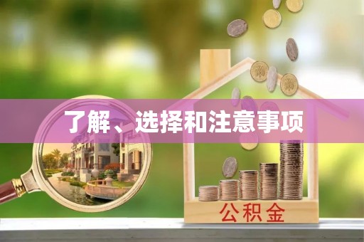 东石了解、选择和注意事项