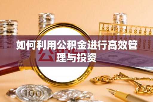 东石如何利用公积金进行高效管理与投资