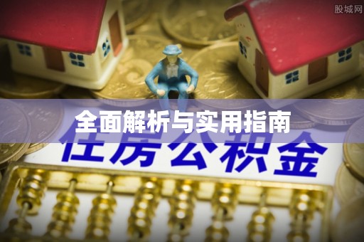 东石全面解析与实用指南