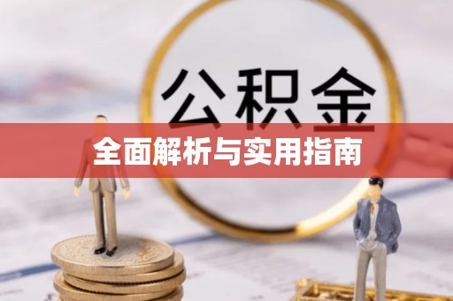 东石全面解析与实用指南